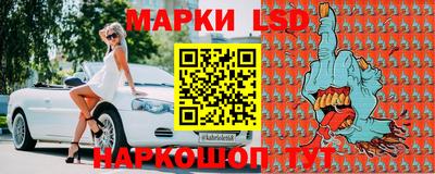 МДПВ Бердск