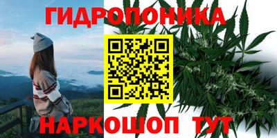 прущие крисы Ставрополь