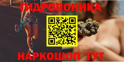 прущие крисы Ставрополь