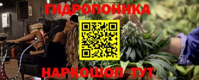 прущие крисы Ставрополь